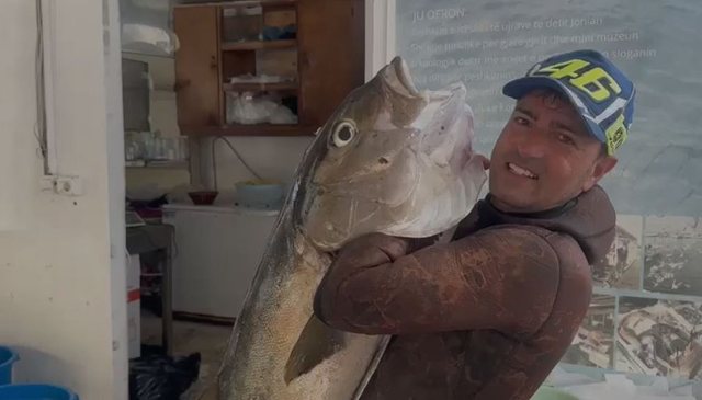 Kapet në Vlorë peshku 27 kg, peshkatarit iu deshën 30 minuta ta nxirrte nga deti
