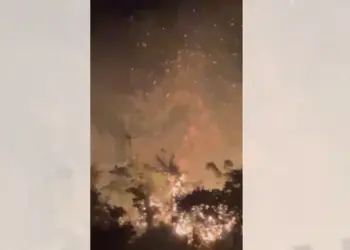 Shuhet zjarri në Odrie të Gjirokastrës, flakët rrezikuan të përhapen drejt dy fshatrave