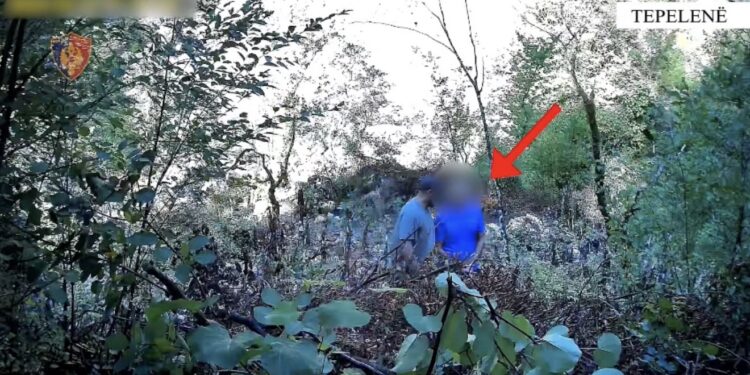 Zbulohet kanabis brenda kanioneve në Tepelenë, arrestohet 57-vjeçari