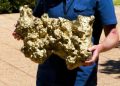 E gjeti me detektor metalesh duke menduar se ishte ar, por zbuloi një thesar 4.6 miliardë-vjeçar