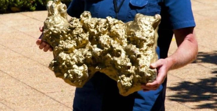 E gjeti me detektor metalesh duke menduar se ishte ar, por zbuloi një thesar 4.6 miliardë-vjeçar
