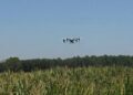 Insektet po dëmtojnë të mbjellat, nis spërkatja me dron
