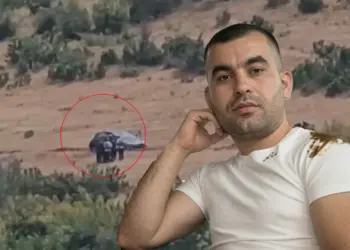 “Lekët s’i marr dot mbrapsht, në burg nuk dua të shkoj”, çfarë u tha Nertil Buzi negociatorëve