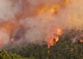 Ministri i Brendshëm: Zjarrvënia është krim, dënohet deri në 15 vite burg