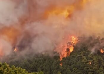 Ministri i Brendshëm: Zjarrvënia është krim, dënohet deri në 15 vite burg