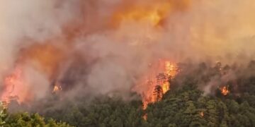 Ministri i Brendshëm: Zjarrvënia është krim, dënohet deri në 15 vite burg