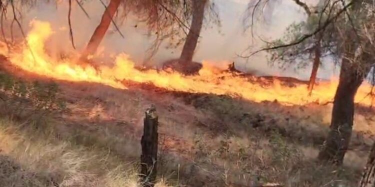 Flakët pushtojnë zonën e Penkovës në Selenicë, kërkohet ndërhyrje shtesë nga zjarrfikësit