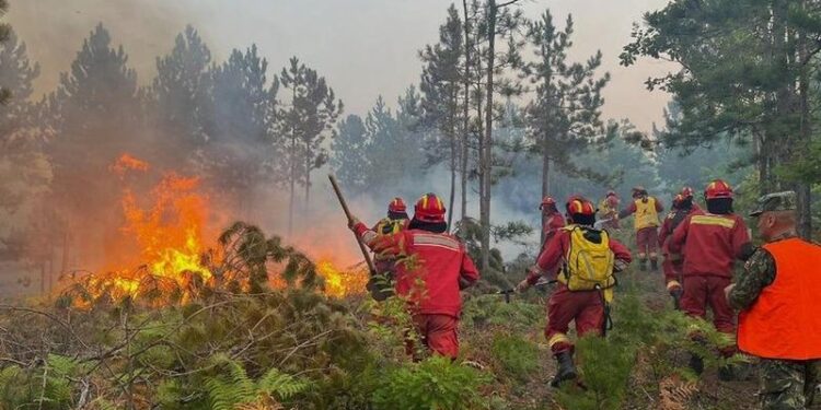 Temperaturat ekstreme, qarqet ku sot ka rrezik të lartë për zjarre