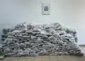 Goditet organizata kriminale, trafikonte kanabis nga Shqipëria drejt Turqisë