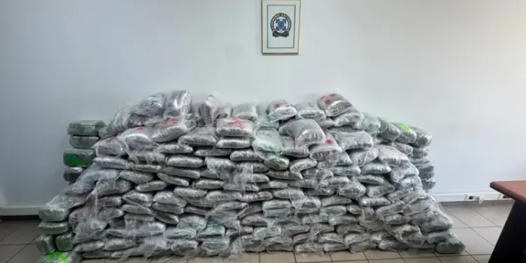 Goditet organizata kriminale, trafikonte kanabis nga Shqipëria drejt Turqisë