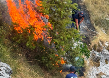 Zjarr mes Golemit dhe Progonatit, digjet një sipërfaqe prej rreth 3 heketarësh