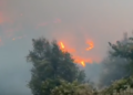 Zjarr i frikshëm në Dragot të Tepelenës (VIDEO)