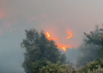 Zjarr i frikshëm në Dragot të Tepelenës (VIDEO)