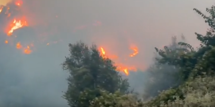 Zjarr i frikshëm në Dragot të Tepelenës (VIDEO)