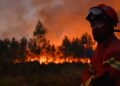 Temperaturat deri në 40°C, IGJEO ngre alarmin: Rrezik i lartë zjarri në 8 qarqe