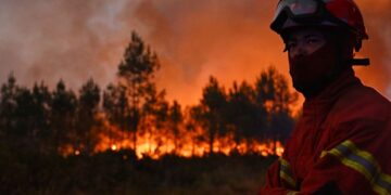 Temperaturat deri në 40°C, IGJEO ngre alarmin: Rrezik i lartë zjarri në 8 qarqe