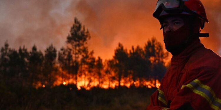 Temperaturat deri në 40°C, IGJEO ngre alarmin: Rrezik i lartë zjarri në 8 qarqe