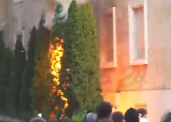 Protestuesit u vënë flakën pemëve pranë Kryeministrisë