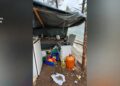 Zbulohet parcela me kanabis në një pyll në Spanjë, arrestohen 4 shqiptarë, strehoheshin në tenga kampingu