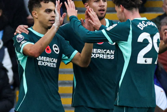 VIDEO/ City mundet nga Brighton, vendos një gol