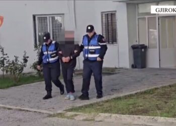I dënuar për vrasje, arrestohet 44-vjeçari në Gjirokastër, policia i gjen armë dhe drogë te shtëpia në Tepelenë