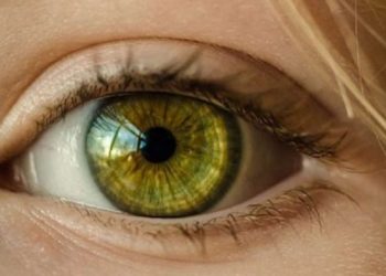 “Retina është një dritare e shëndetit”/ Nga diabeti te hipertensioni, sytë mund të zbulojnë sëmundje të fshehura – Balkanweb.com – News24