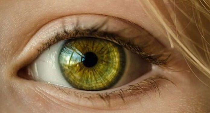 “Retina është një dritare e shëndetit”/ Nga diabeti te hipertensioni, sytë mund të zbulojnë sëmundje të fshehura – Balkanweb.com – News24